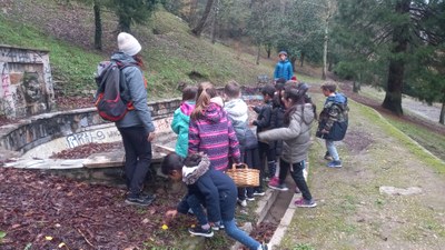 Buscando refugios para las ranas del bosque.